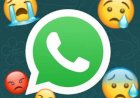 WhatsApp parou de funcionar: como resolver o problema