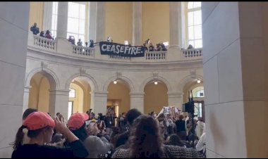 Protesto no Capitólio pedem cessar-fogo entre Israel e Hamas