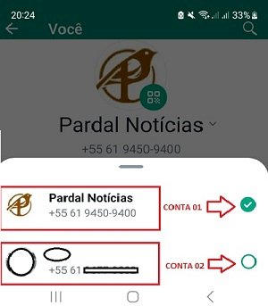 WhatsApp agora permite duas contas no mesmo celular